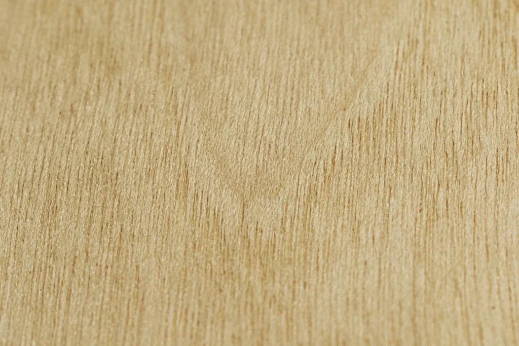 extreme close-up van berken fineer met fijne nerf – wooddes fineer bibliotheek