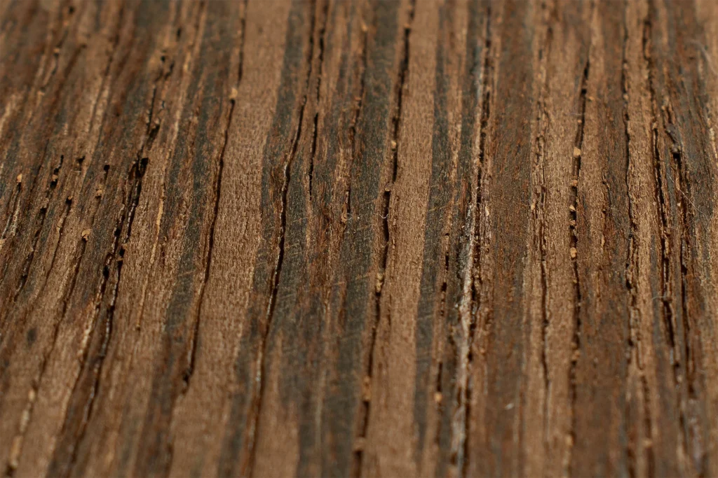 extreme close-up van wenge fineer met rechte nerfstructuur – wooddes fineer bibliotheek